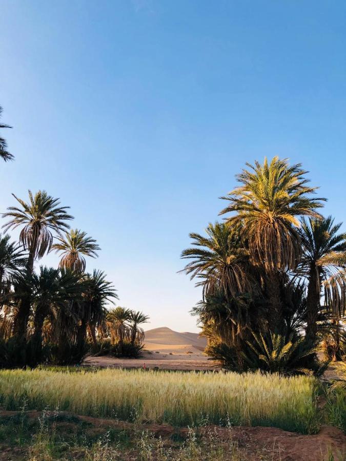 Camp Auberge Sahara Marokko M'Hamid Exteriér fotografie
